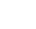 PROFESSIONAL TEAM 