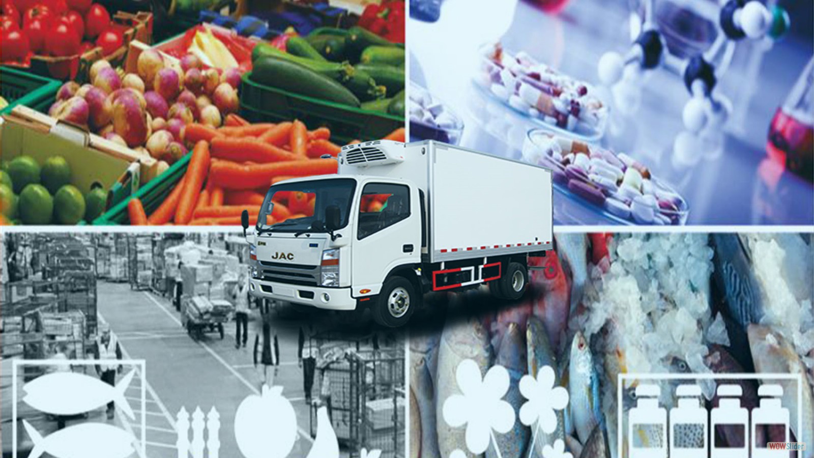 How to Choose the Best Perishable Freight Forwarder from China to Saudi Arabia